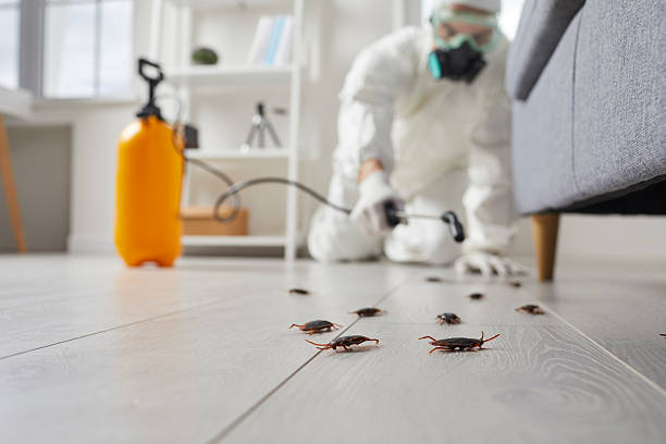 Commercial Kitchen Cockroach Control in Kalkaska
